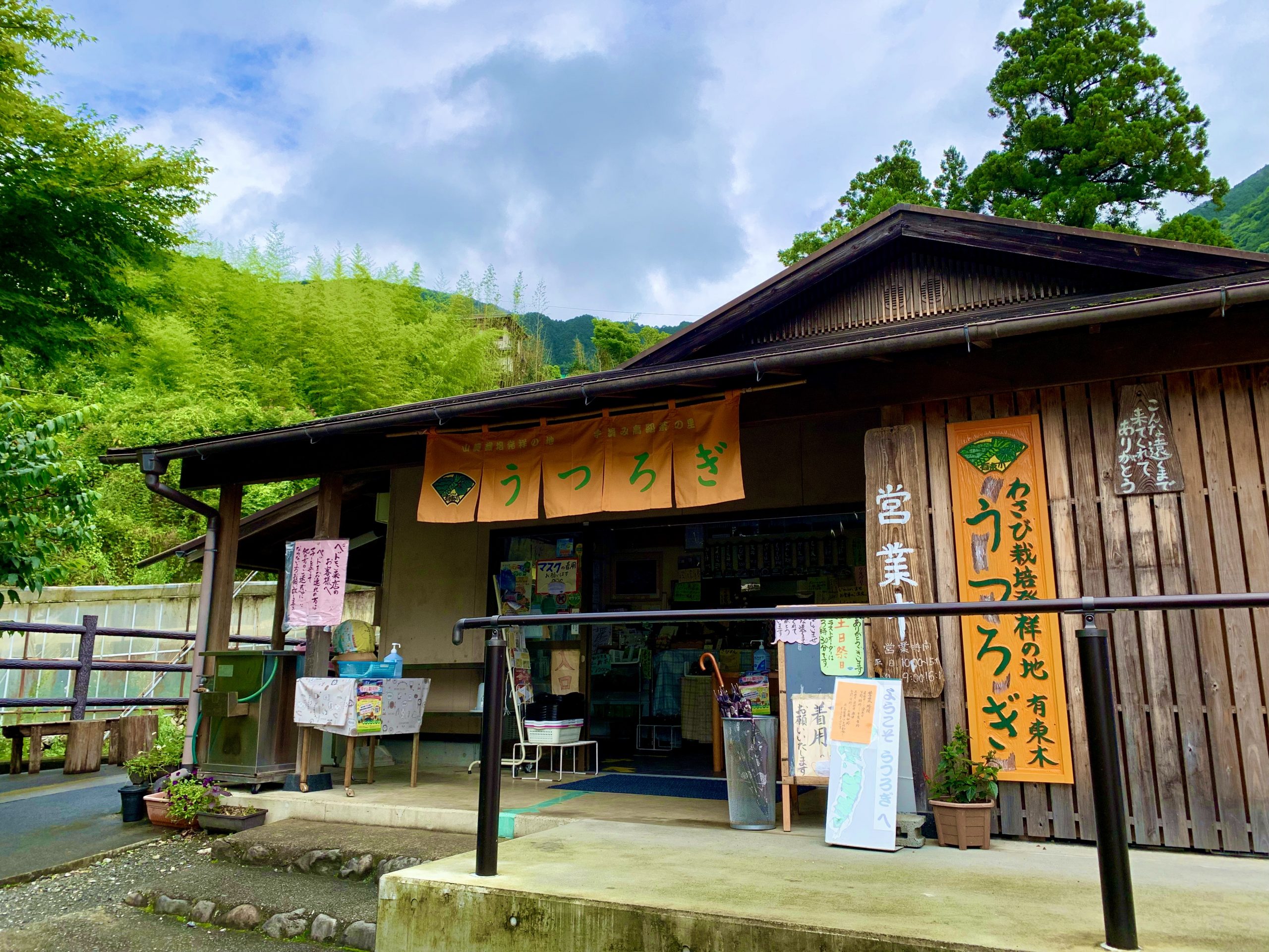 ストア 静岡 うつろ ぎ ペット