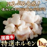 国産牛特選ホルモン1kg