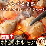 国産牛特選ホルモン600g