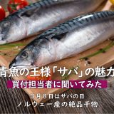 青魚の王様・サバの魅力とノルウェー産サバを使った絶品干物をご紹介！