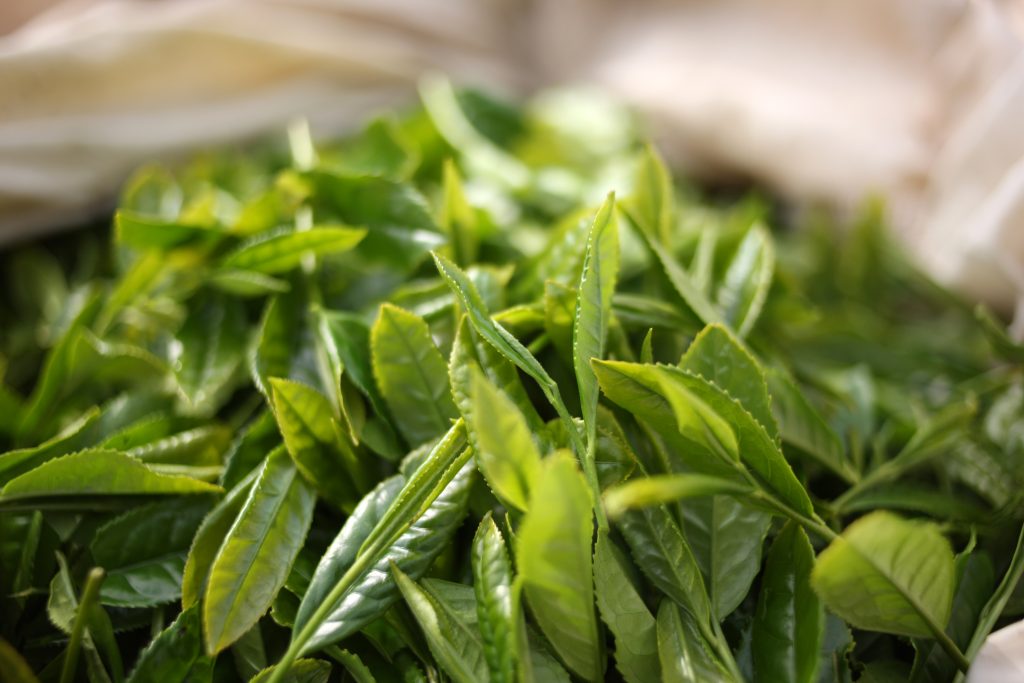 佐藤園の茶葉