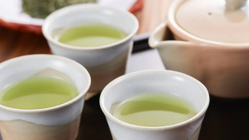 煎茶と玉露の違いとは？栽培方法・甘みの理由・淹れ方をわかりやすく解説