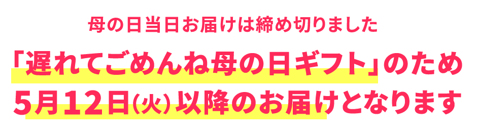 母の日遅れてごめんね